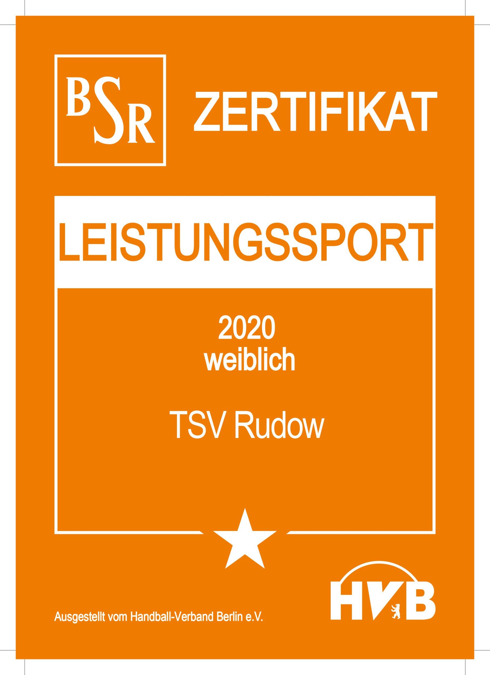 Die weibliche Handballjugend erhält das BSR-Leistungssportzertifikat