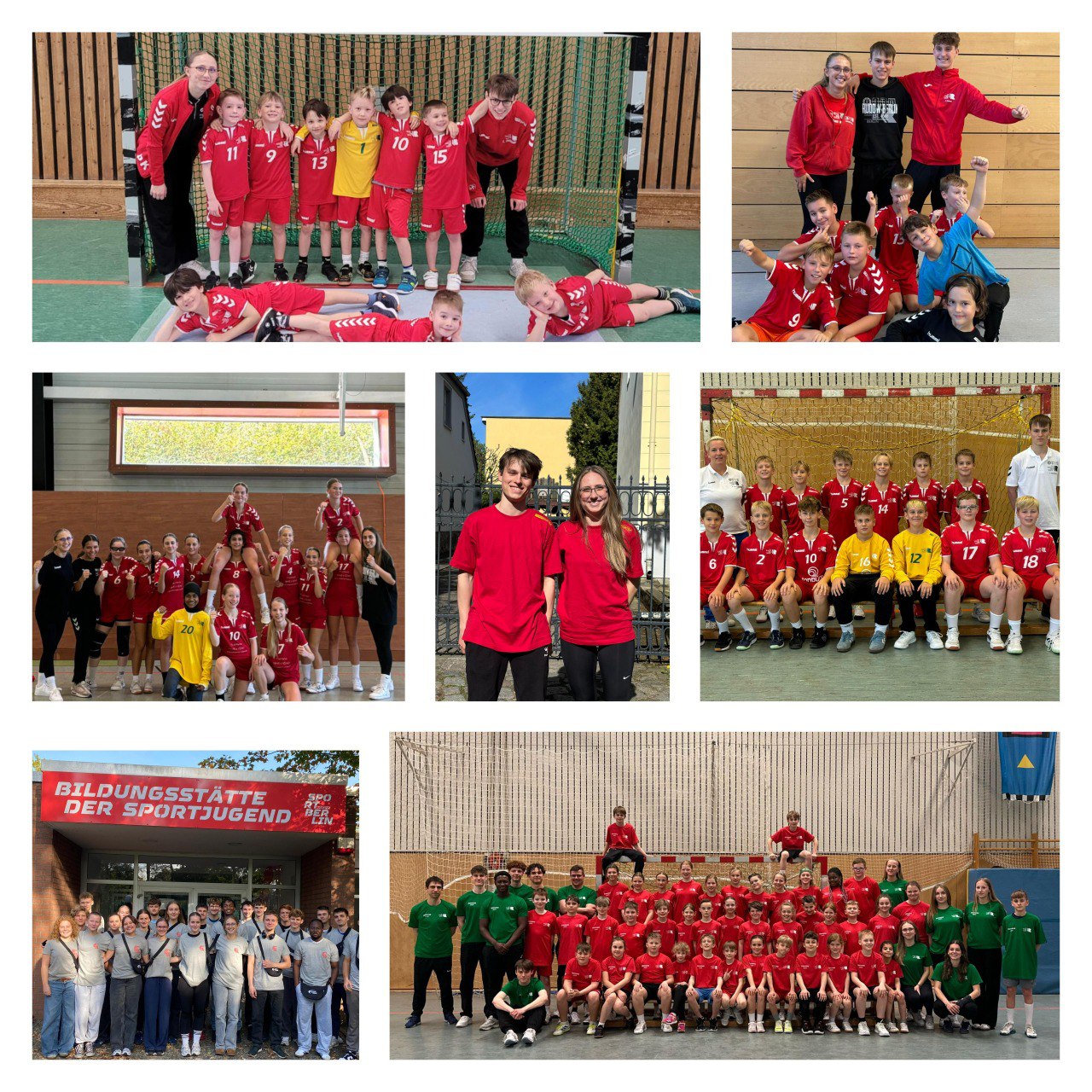 Zwischenbericht Freiwilliges Soziales Jahr